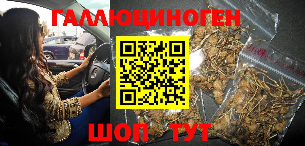 Галлюциногенные грибы мухоморы Владивосток