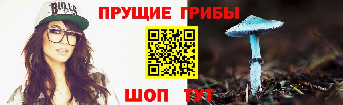 Владивосток  Псилоцибиновые грибы прущие грибы  Вход с VPN 